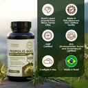 brazilian-green-propolis-extract-1000mg--4.jpg