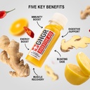 gngr-digestive-aid-organic-ginger-shot-w-3.jpg