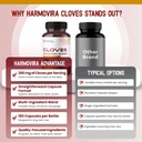 cloves-supplement-with-cinnamon-ginger-t-6.jpg
