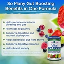 vital-planet-vital-gut-boost-powder-by-b-3.jpg