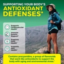 viva-naturals-pycnogenol-100mg-french-ma-3.jpg