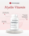 plasmalogen-brain-nervous-system-support-4.jpg