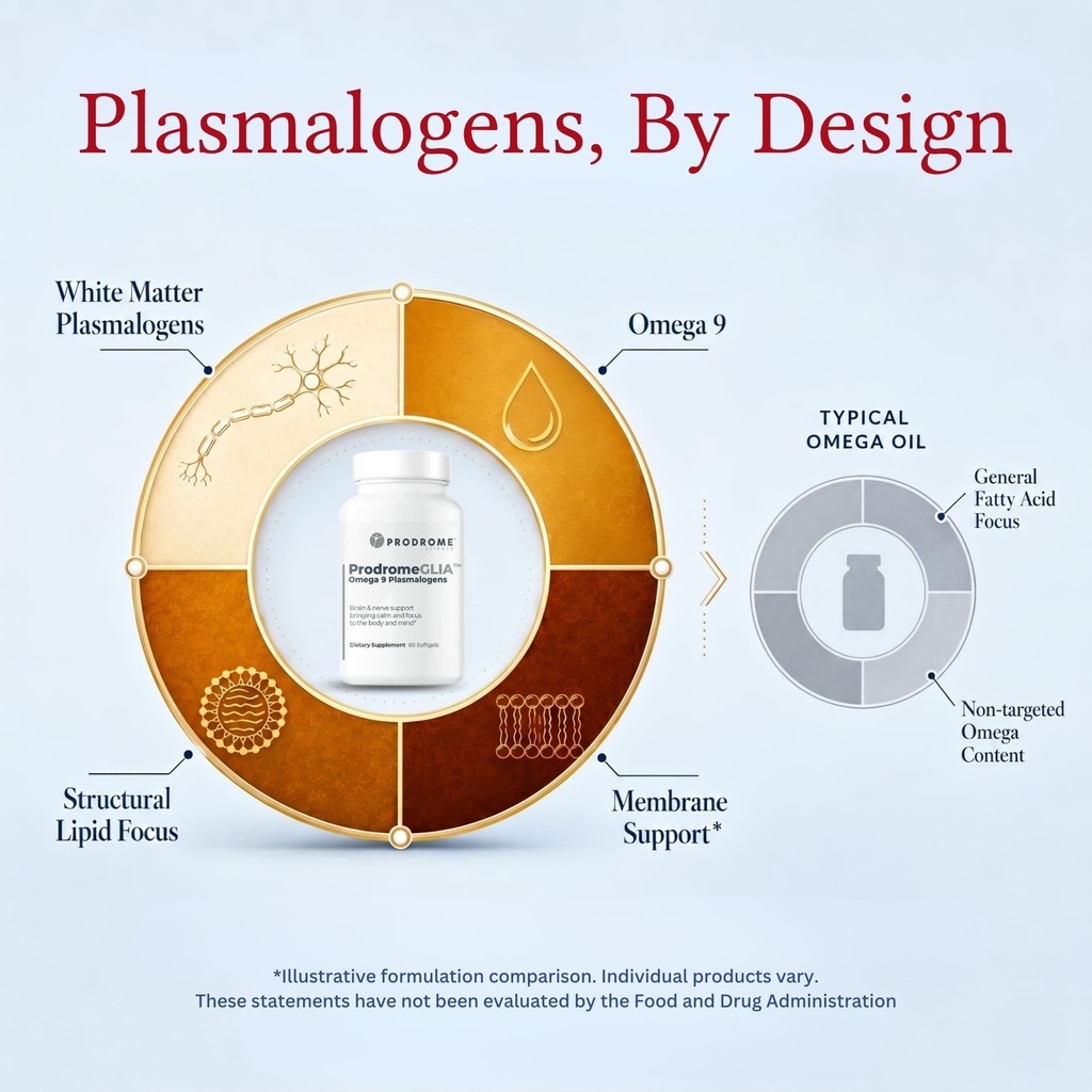 plasmalogen-brain-nervous-system-support-5.jpg