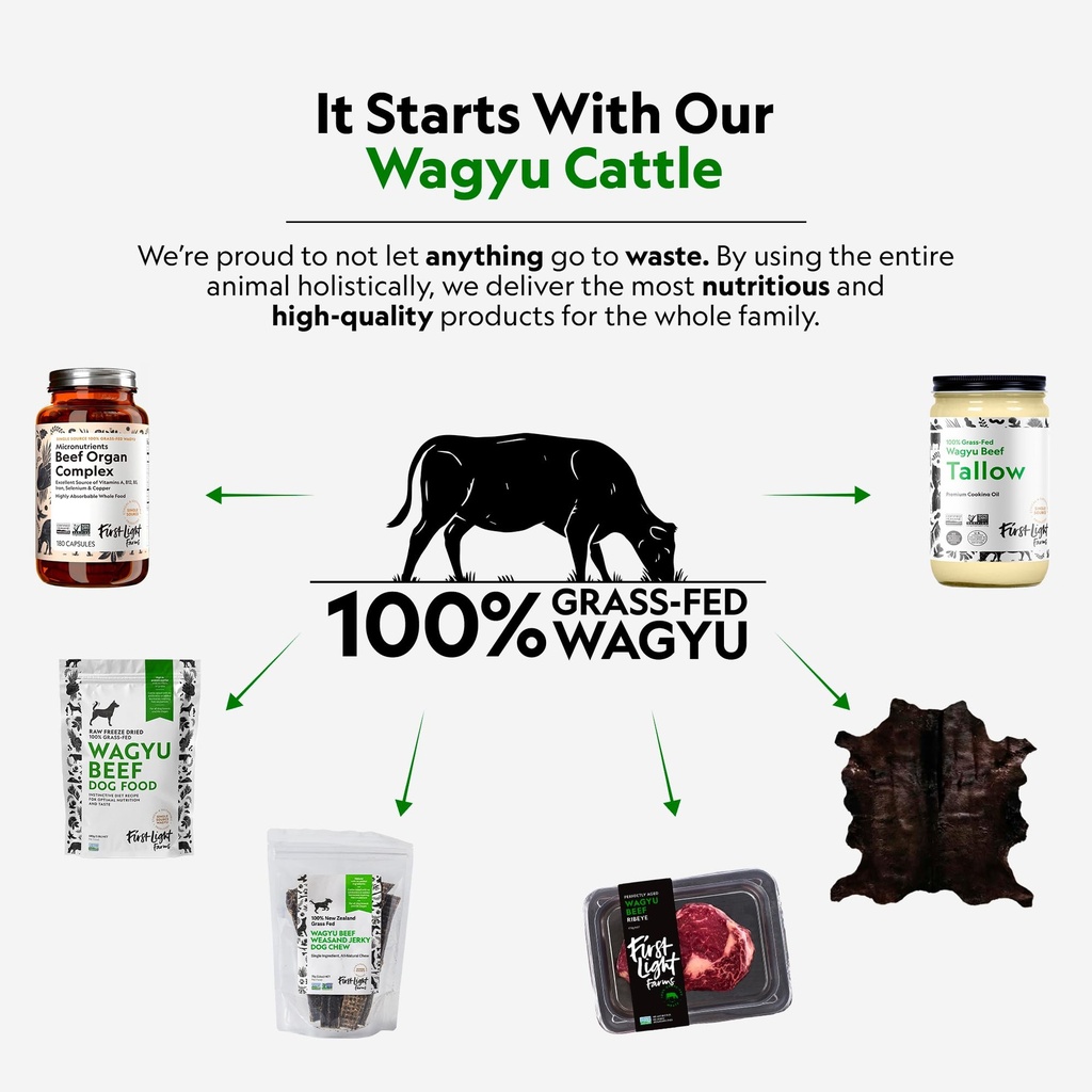 first-light-100-grass-fed-nutrient-dense-2.jpg