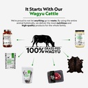 first-light-100-grass-fed-nutrient-dense-2.jpg