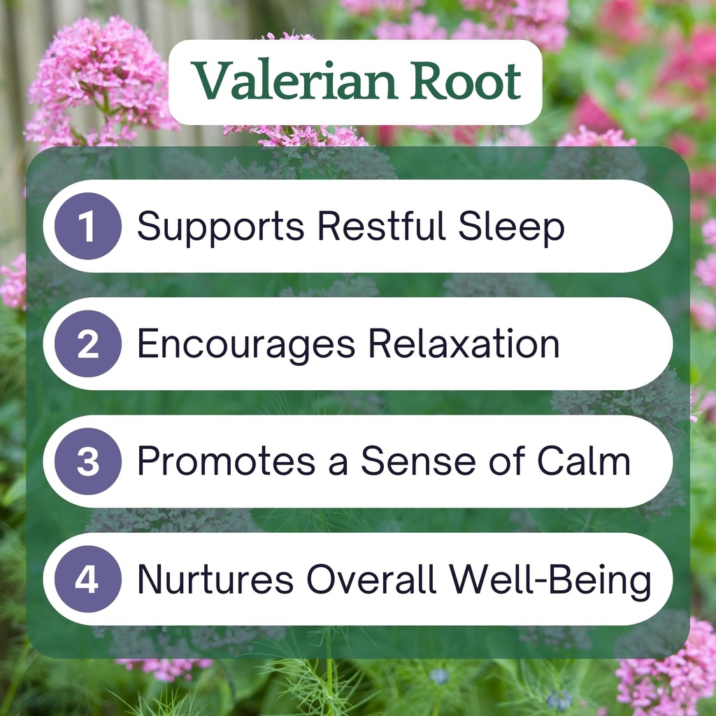 herb-lore-organic-valerian-root-tincture-2.jpg
