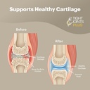 all-natural-horse-joint-supplement-soft--5.jpg
