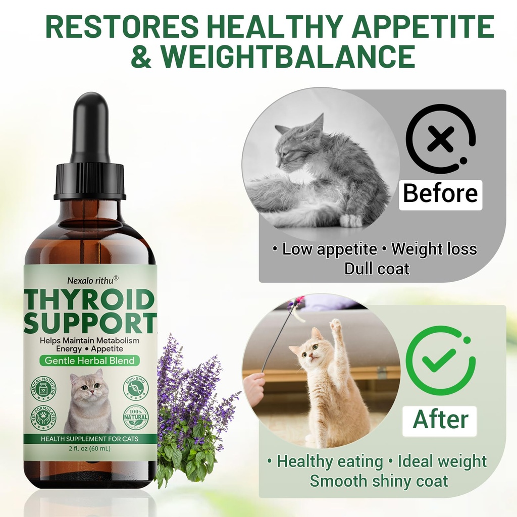thyroid-support-for-cats-effective-appet-3.jpg