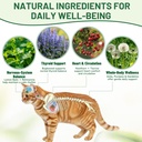 thyroid-support-for-cats-effective-appet-5.jpg