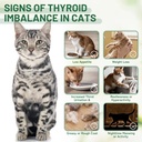 thyroid-support-for-cats-effective-appet-4.jpg