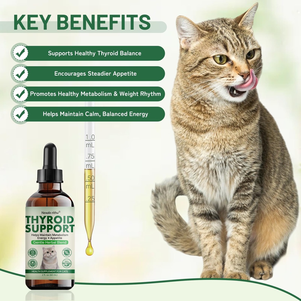 thyroid-support-for-cats-effective-appet-2.jpg