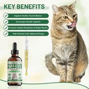 thyroid-support-for-cats-effective-appet-2.jpg