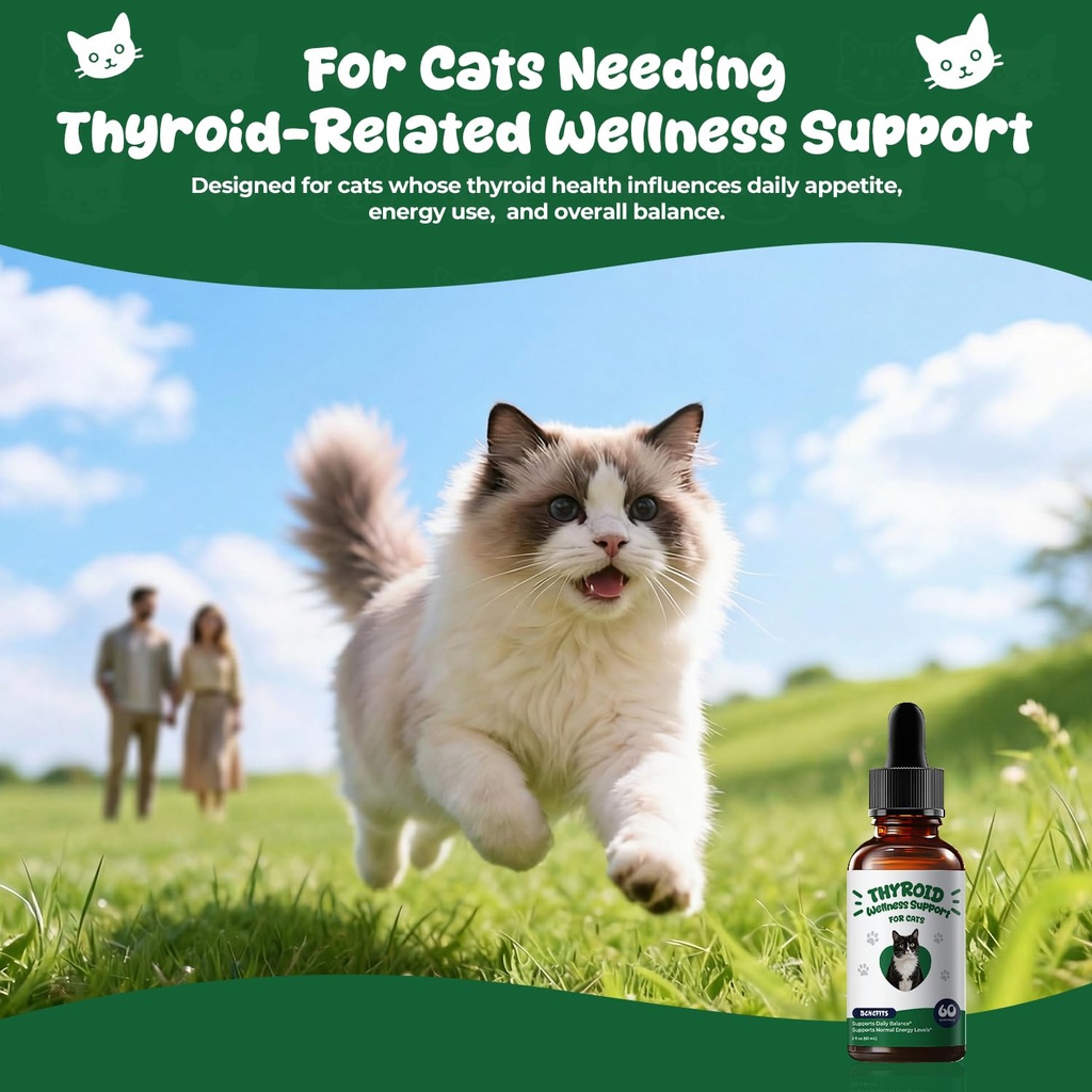 thyroid-support-for-cats-appetite-stimul-3.jpg