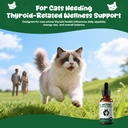 thyroid-support-for-cats-appetite-stimul-3.jpg