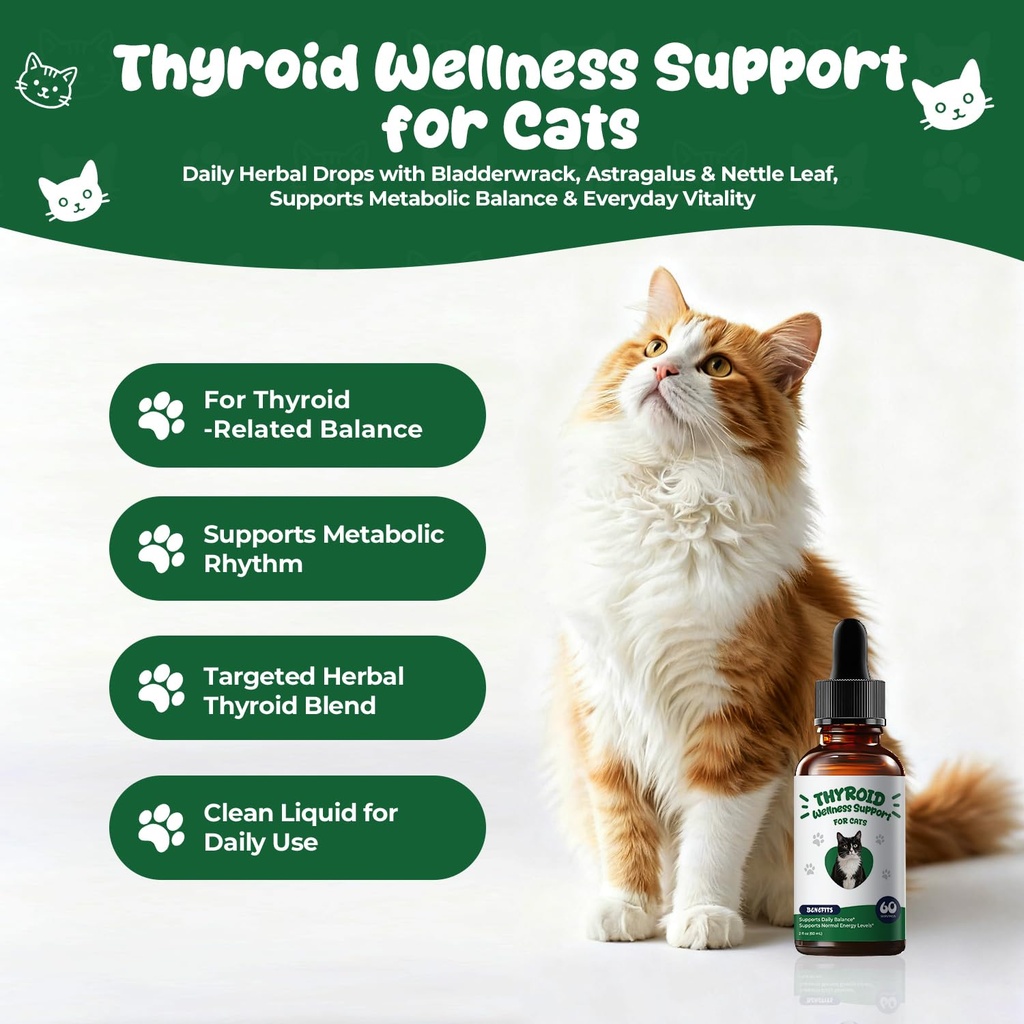 thyroid-support-for-cats-appetite-stimul-2.jpg
