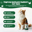 thyroid-support-for-cats-appetite-stimul-2.jpg