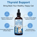 thyroid-support-for-cats-cat-weight-gain-3.jpg
