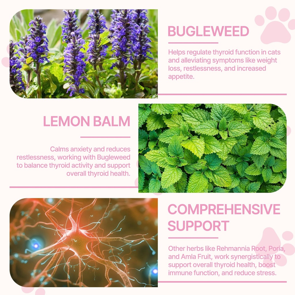 herbal-thyroid-support-promotes-healthy--5.jpg