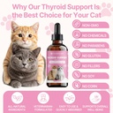 herbal-thyroid-support-promotes-healthy--6.jpg