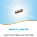 nature-s-way-premium-extract-holy-basil--3.jpg