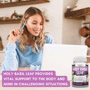 holy-basil-leaf-capsules-500mg-2-5-ursol-5.jpg
