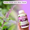 holy-basil-leaf-capsules-500mg-2-5-ursol-3.jpg