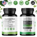 holy-basil-20-1-extract-no-fillers-organ-3.jpg