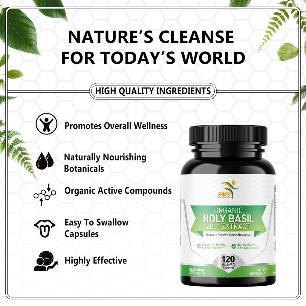 holy-basil-20-1-extract-no-fillers-organ-2.jpg