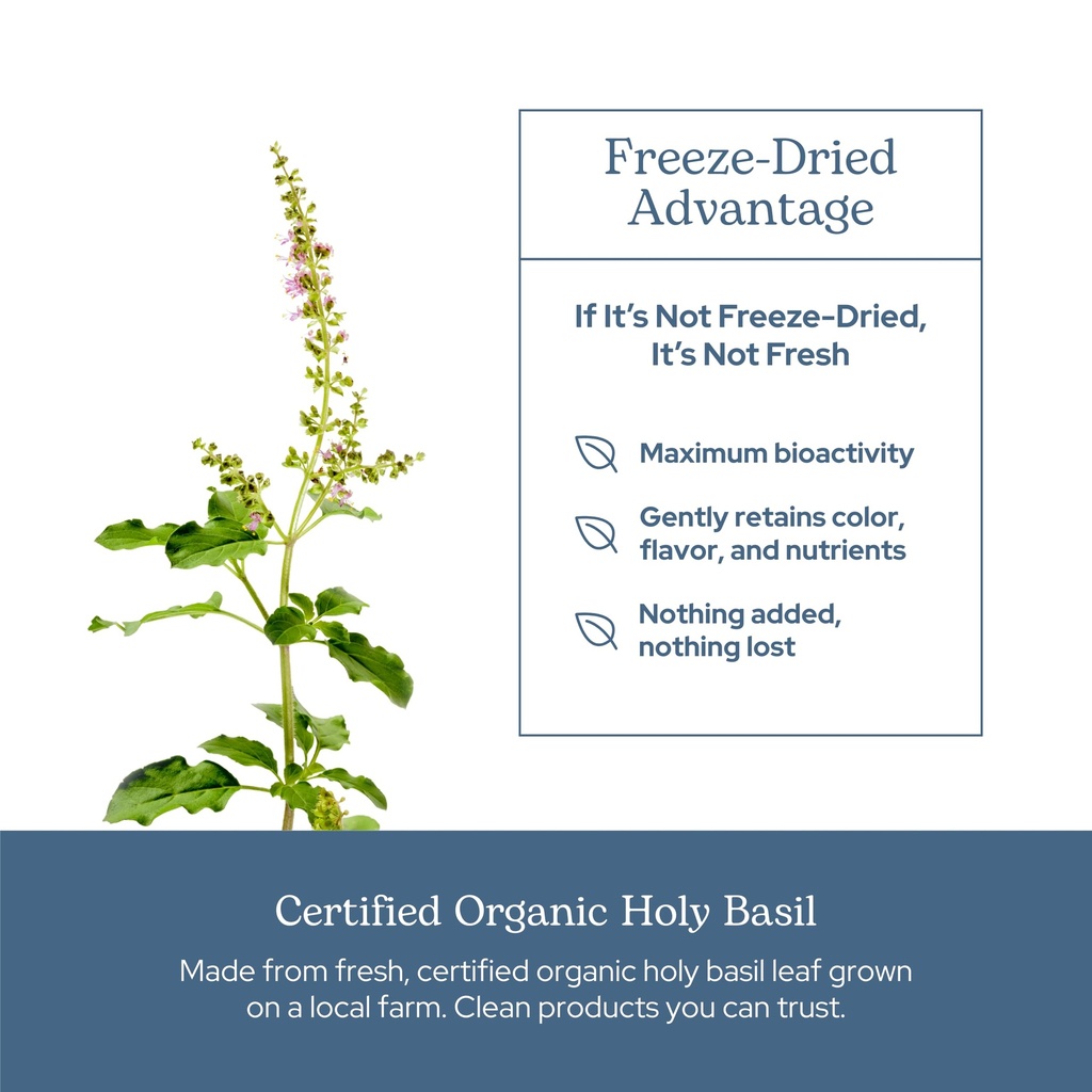 eclectic-herb-organic-holy-basil-capsule-5.jpg