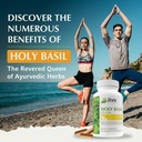 holy-basil-capsules-premium-holy-basil-e-4.jpg