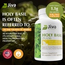 holy-basil-capsules-premium-holy-basil-e-3.jpg