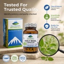 pure-mountain-botanicals-holy-basil-supp-3.jpg