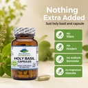 pure-mountain-botanicals-holy-basil-supp-6.jpg