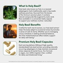 vital-peak-holy-basil-500-mg-mood-relaxa-4.jpg