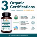 tulsi-holy-basil-supplement-usda-organic-2.jpg