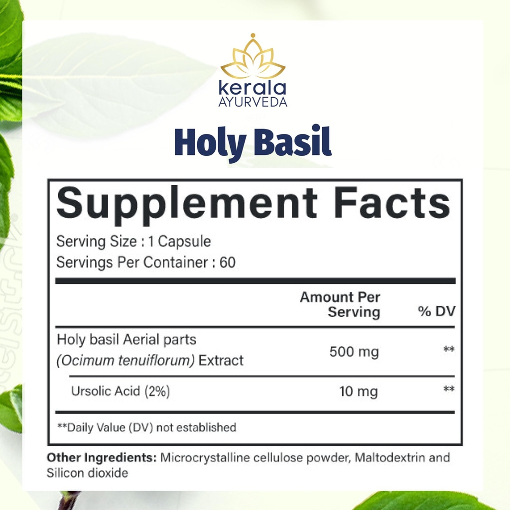 kerala-ayurveda-holy-basil-tulsi-extract-6.jpg
