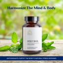 kerala-ayurveda-holy-basil-tulsi-extract-3.jpg