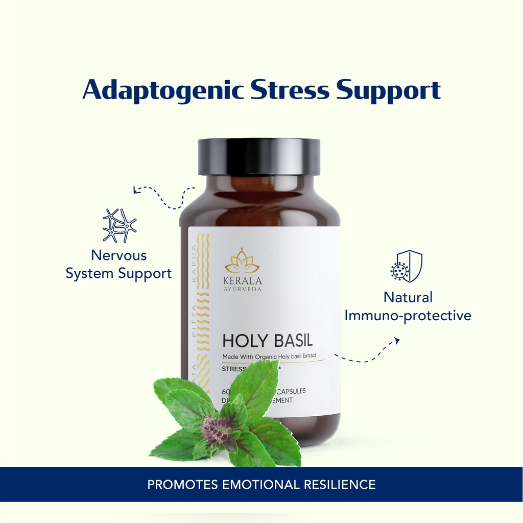 kerala-ayurveda-holy-basil-tulsi-extract-4.jpg
