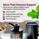 barlean-s-peppermint-olive-leaf-complex--4.jpg