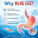 antarctic-krill-oil-1000mg-softgels-omeg-6.jpg