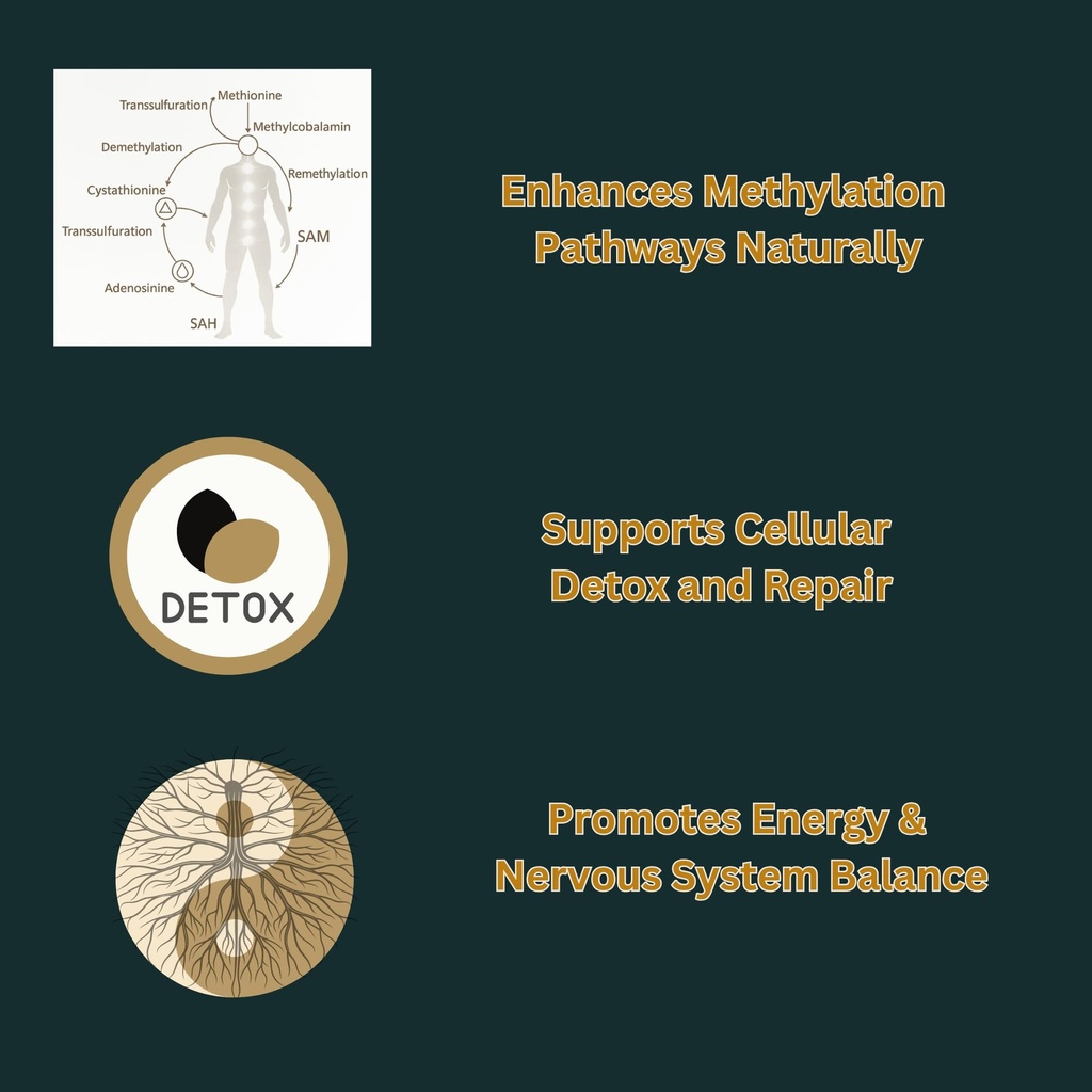 methylation-support-cream-vitamin-b12-b6-2.jpg