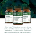 gaia-herbs-pro-black-cohosh-pro-healthy--6.jpg