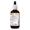black-cohosh-cimicifuga-racemosa-dry-roo-2.jpg