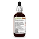 black-cohosh-cimicifuga-racemosa-dry-roo-3.jpg
