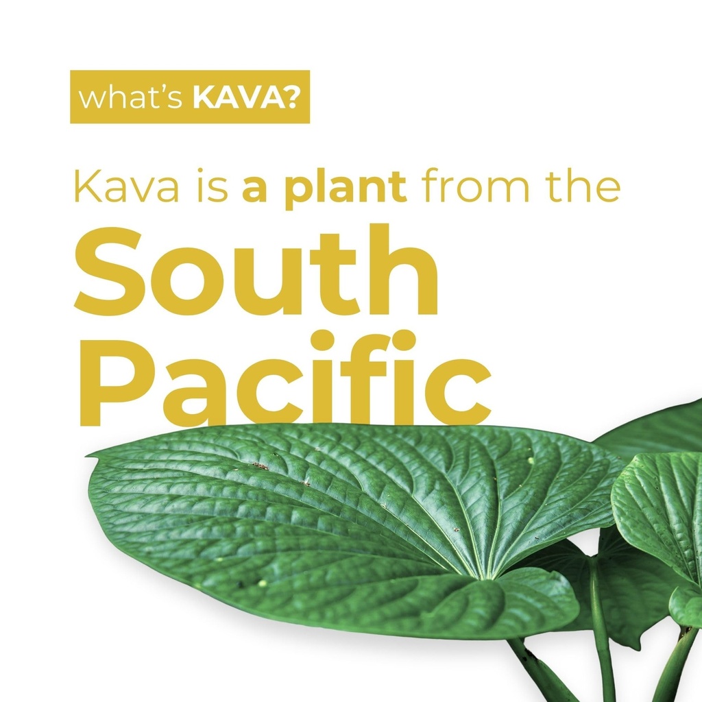 leilo-kava-powered-pina-colada-mocktail--4.jpg