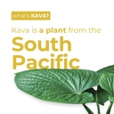 leilo-kava-powered-pina-colada-mocktail--4.jpg