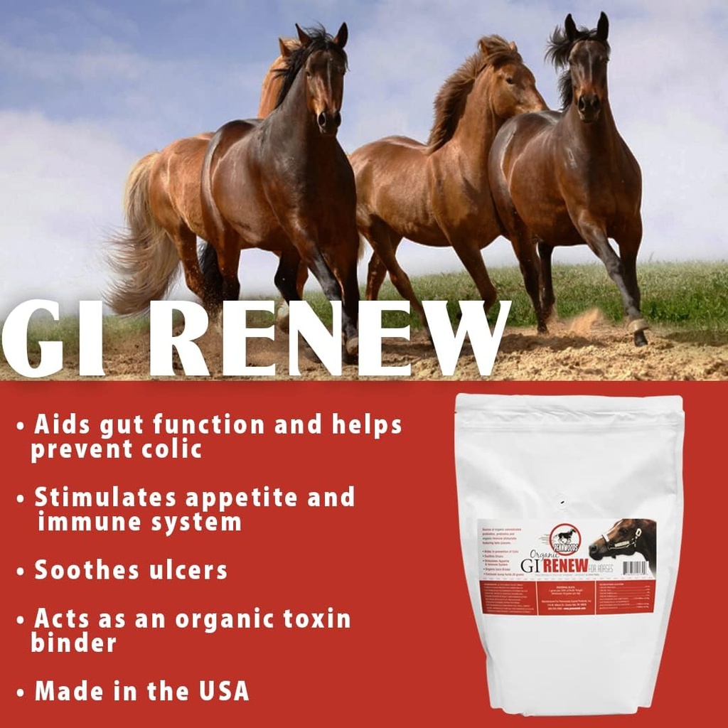 pennwoods-gi-renew-probiotics-for-equine-2.jpg