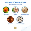 veru-wellness-motion-sickness-patch-herb-5.jpg