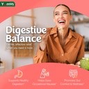 yum-v-s-ginger-gummies-500-mg-ginger-roo-4.jpg