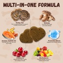 turkey-tail-mushroom-for-dogs-with-probi-4.jpg